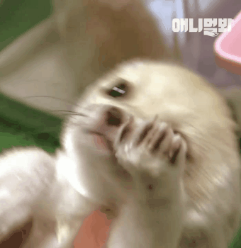 ldJfJM.gif