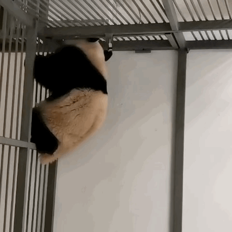 ldywUj.gif