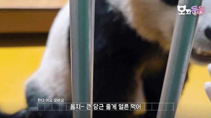 lfWPiP.gif