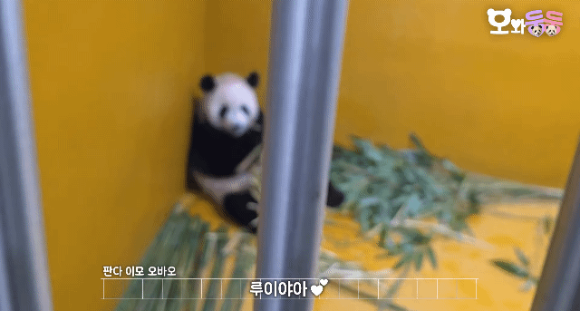 llhzSR.gif
