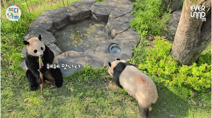 lvqMUO.gif