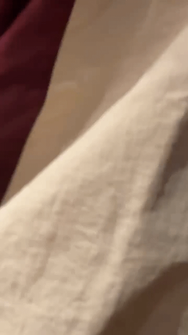 lvvYol.gif