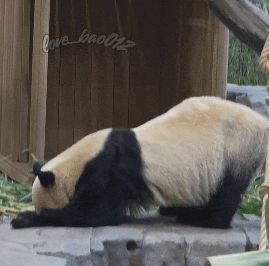 lzkUKl.gif