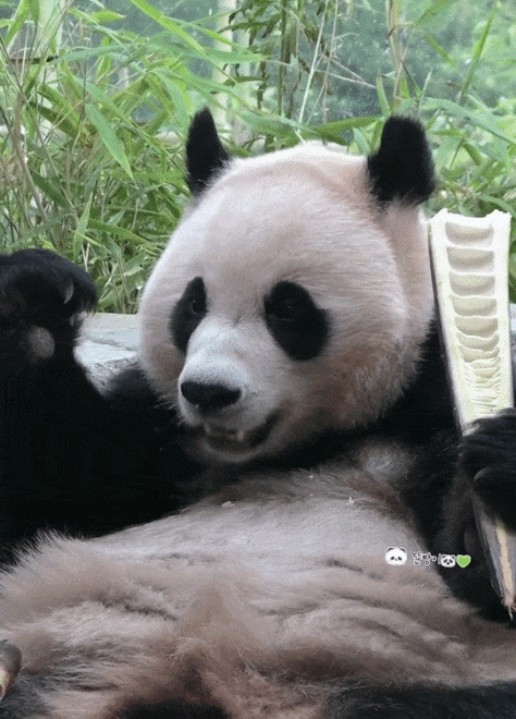 mANkEZ.gif