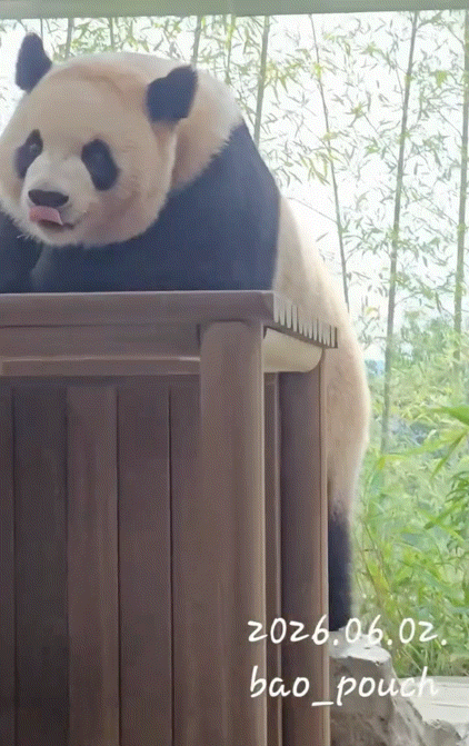 mEwWmE.gif