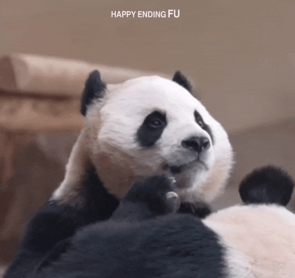mGmAXC.gif