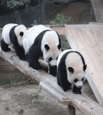 mKGjtM.gif