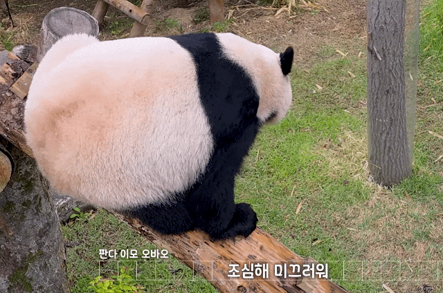 mUBoZz.gif