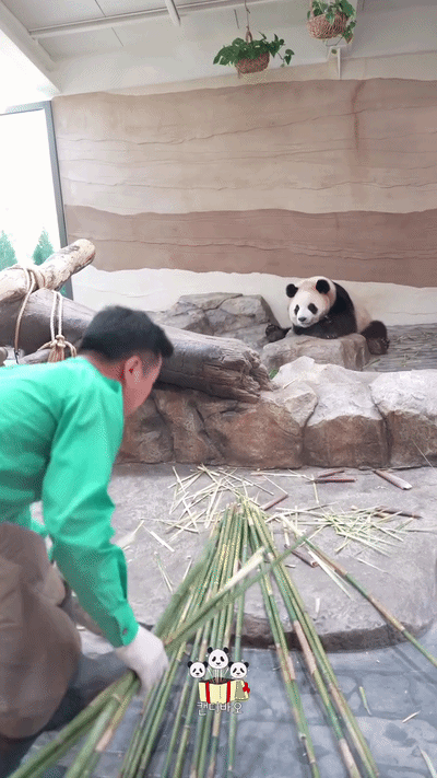 mbLgjR.gif