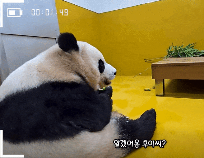misCbR.gif