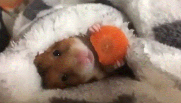 muivsI.gif