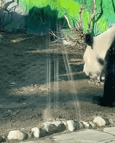 mvHkPT.gif