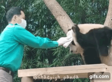 myzbEe.gif
