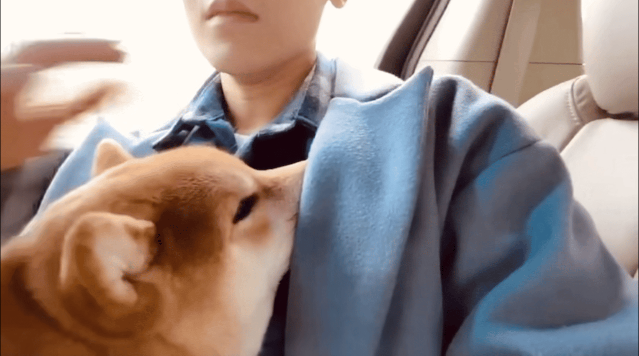 nArWQV.gif