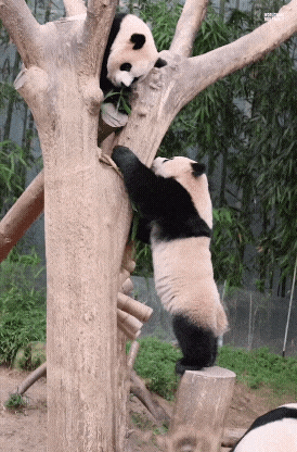 nJEuoj.gif
