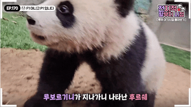 nJrJZm.gif