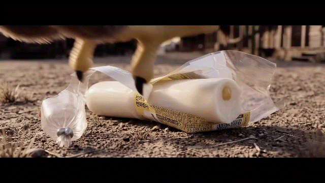 nJvkiC.gif