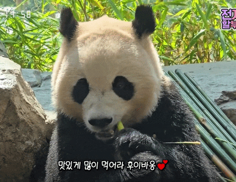 nLIJIx.gif