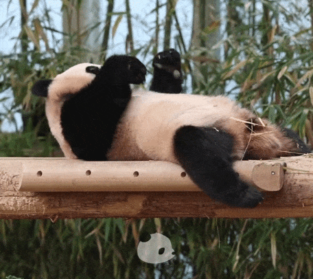 nexKJn.gif