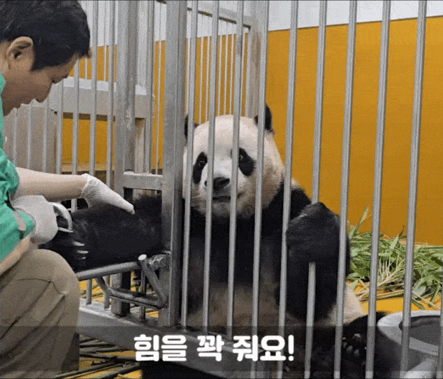 nuNkfr.gif