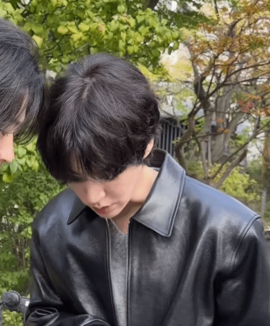 oQEXOg.gif