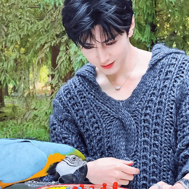 oQcfcz.gif