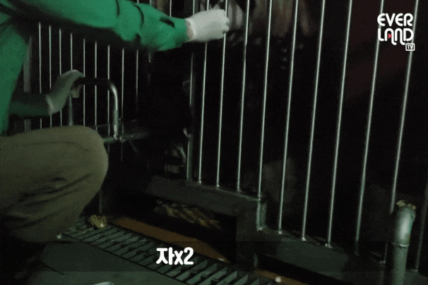 oQoKjb.gif