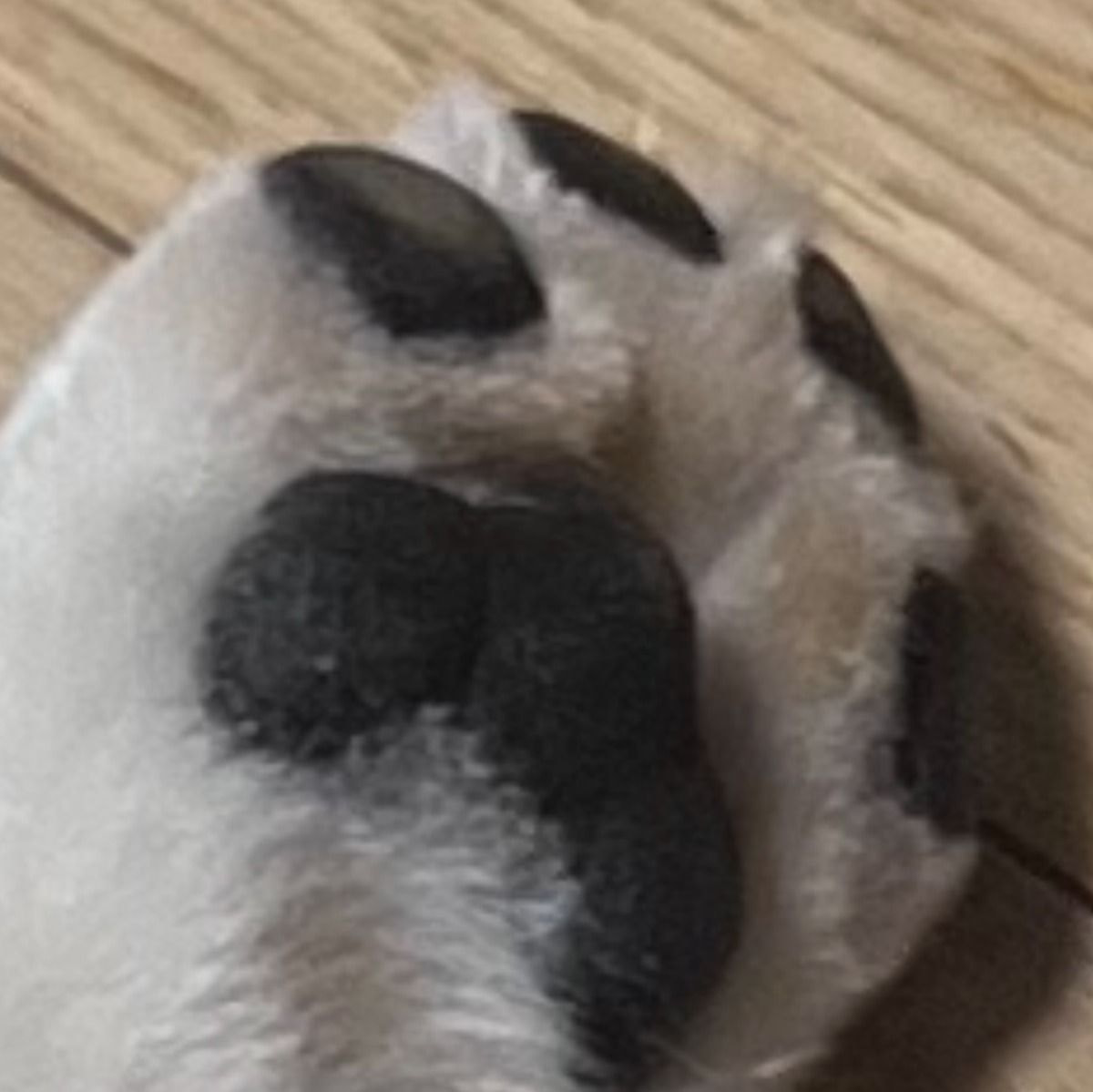 oRFTN.jpg