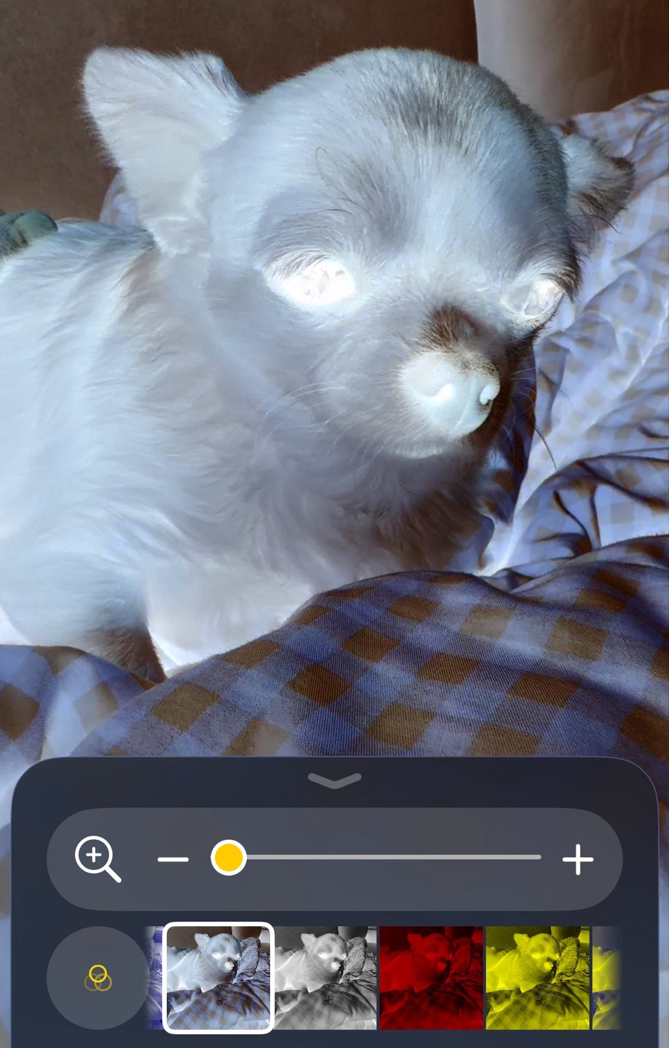 oTfAmf