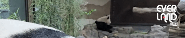 oUGYXc.gif