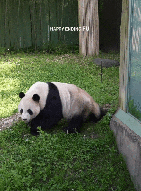 ogVJOR.gif