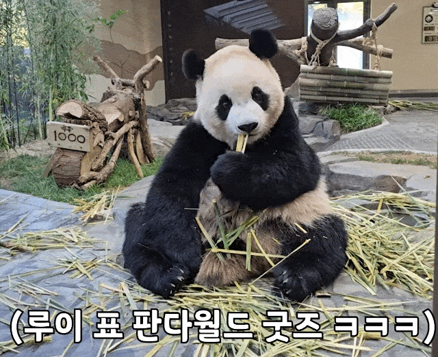 ojpJHU.gif