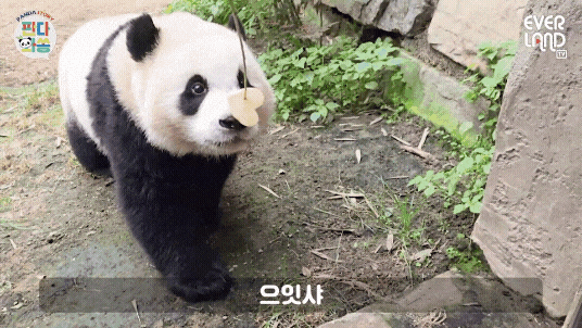 okVkUG.gif