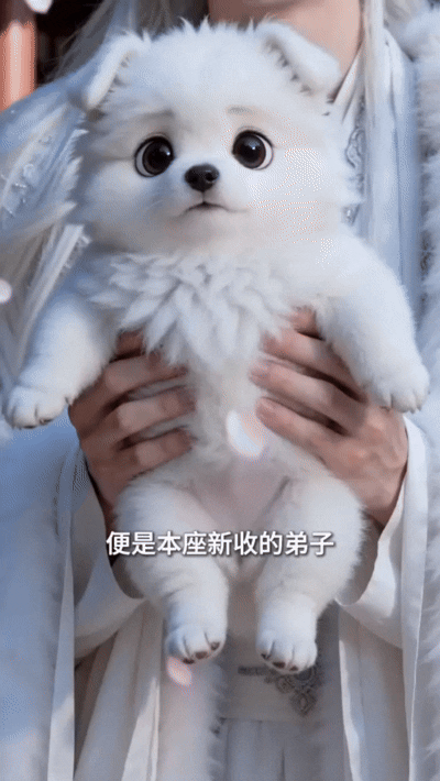 ooxvcO.gif