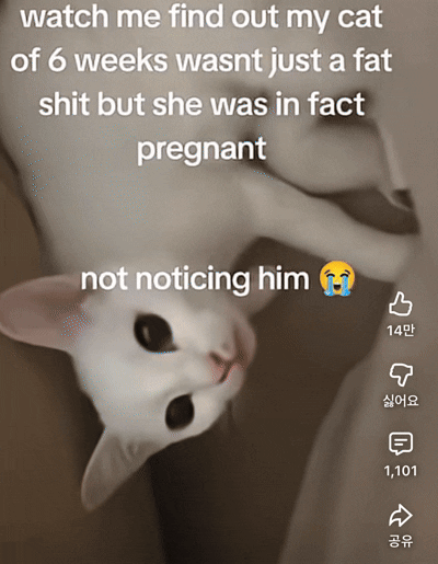 pCmYeK.gif
