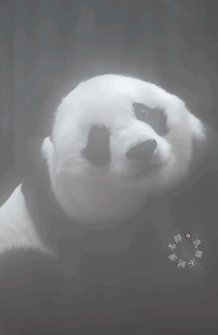 pQSAJu.gif