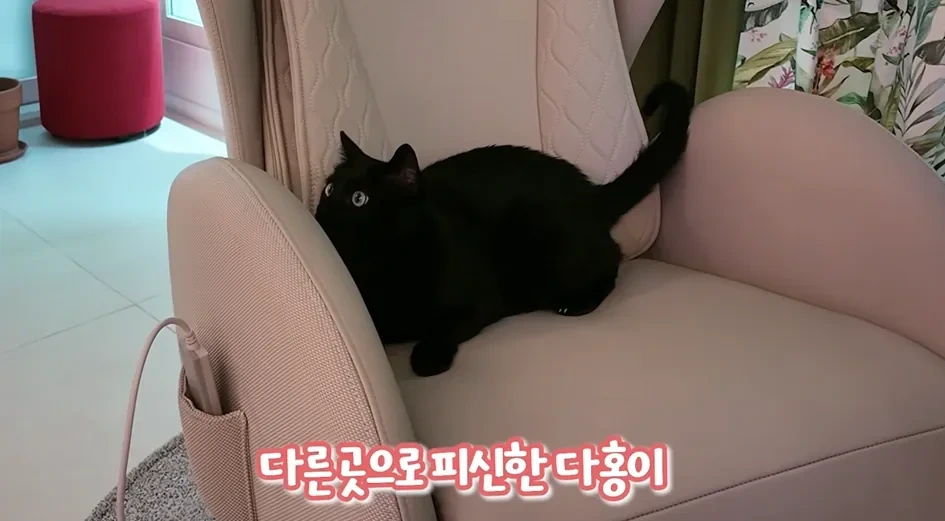 pRDHhb
