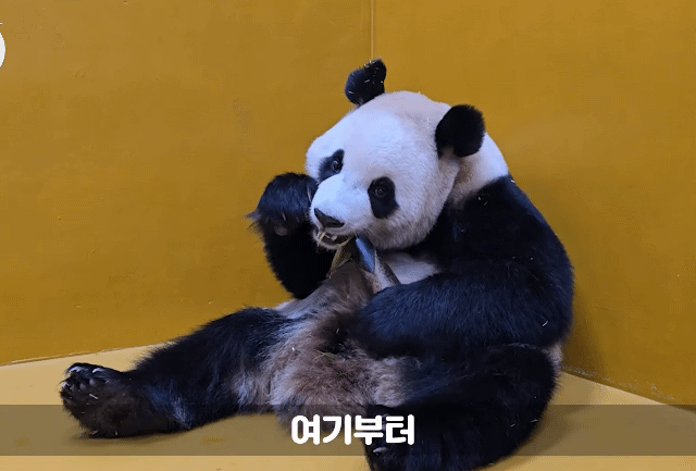 pTUDoE.gif