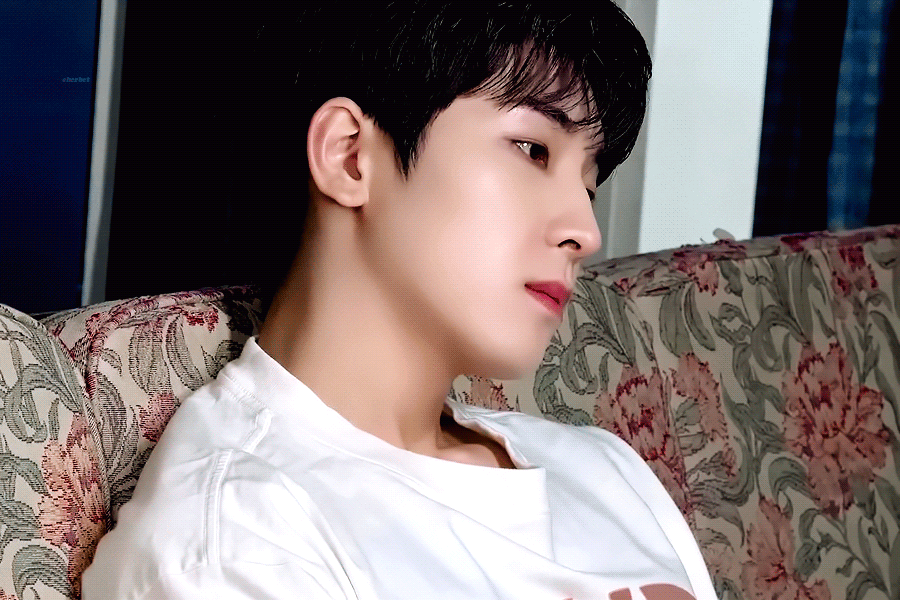pZXhOU.gif