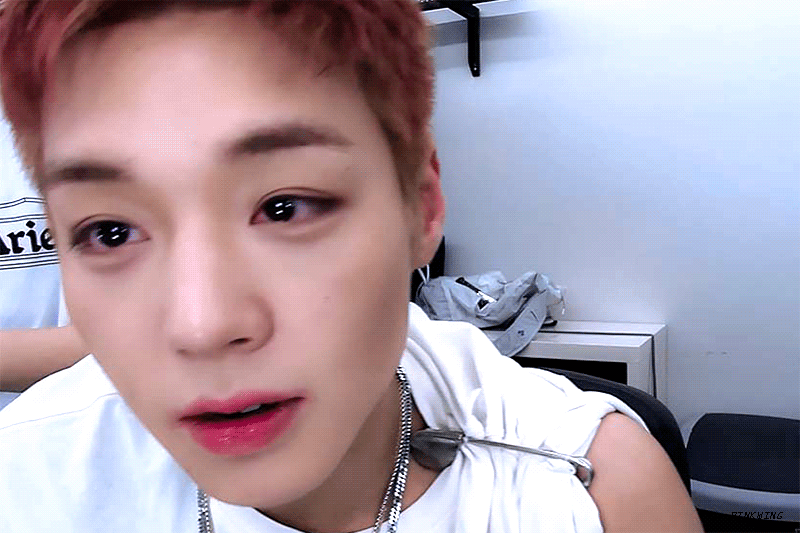 pbbckf.gif