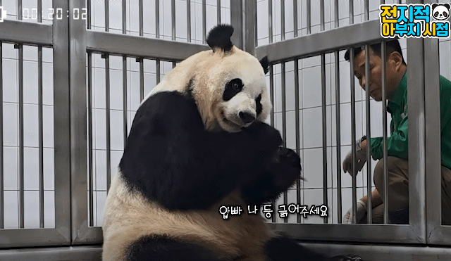 pdWGBU.gif