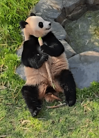 phHqEG.gif