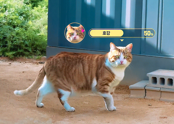 plkHqF.gif