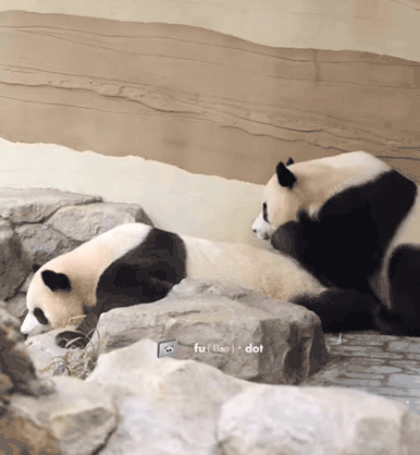 pptGph.gif