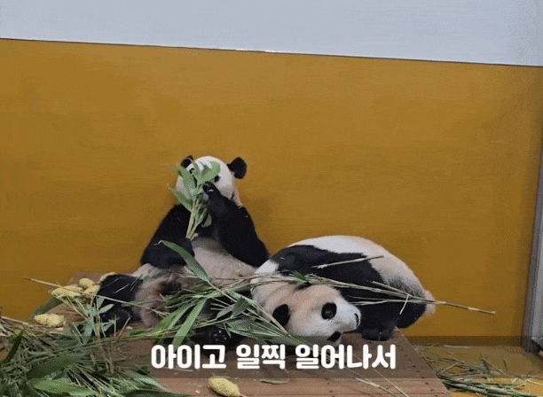 ptYbyr.gif