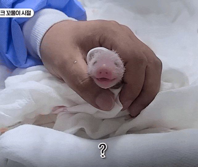 pvMRuy.gif