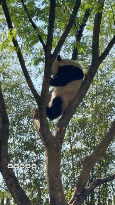 pxvUdJ.gif