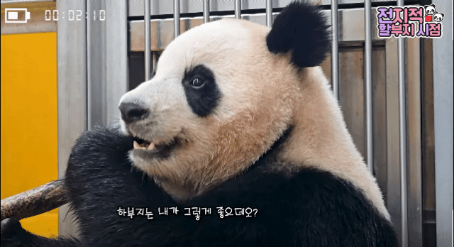 qEWGUZ.gif