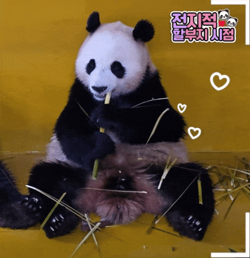 qObOVJ.gif