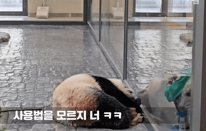 qPXQxd.gif